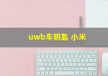 uwb车钥匙 小米